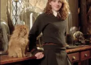 Test Quelle maison de 'Harry Potter' es-tu ?