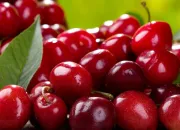 Quiz Es-tu un vrai fan de cerises ?