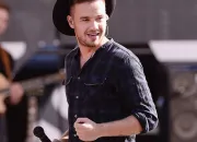 Quiz Liam Payne