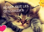 Quiz Un peu de savoir sur les chats (1)