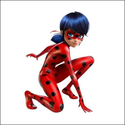 Qui est Ladybug ?