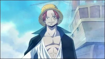 Quel pirate rencontre Luffy en premier ?