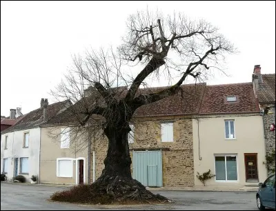 Tiens, je suis stressé je veux aller à Anxieux.