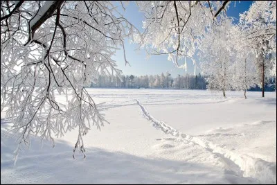 Que fais-tu s'il neige quand tu regardes par la fenêtre ?