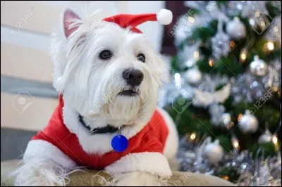 Quel jour fêtons-nous Noël ?