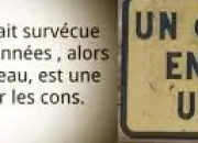 Quiz Citations sur les cons (2)