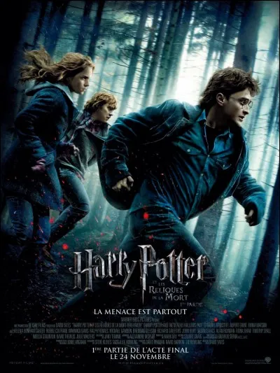 As-tu regardé les films "Harry Potter" ?