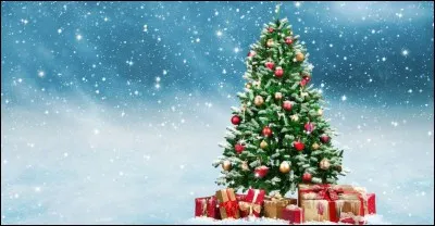 Comment s'appelle le sapin de Noël ?