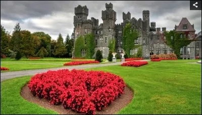 Où se trouve le château d'Ashford ?