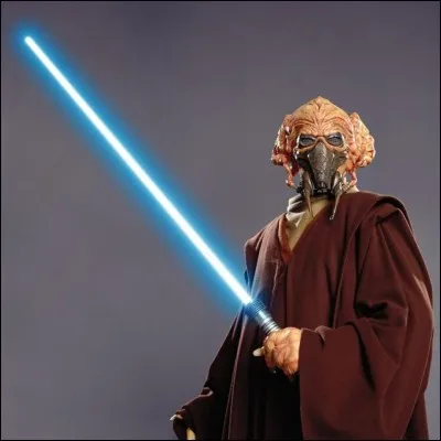 De quelle espèce est le Jedi Plo Koon ?