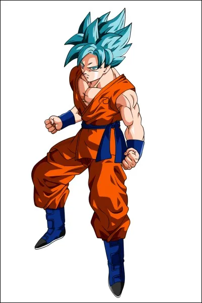 Quel est ce personnage de DBZ ?