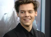 Quiz Harry Styles : le connais-tu vraiment ?