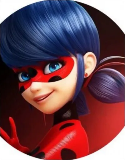 Qui est Ladybug ?