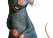 Quiz Ratatouille