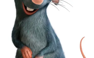 Quiz Ratatouille