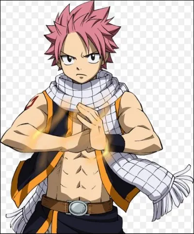 Quel est le surnom de Natsu ?