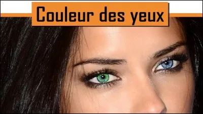 De quelle couleur sont tes yeux ?