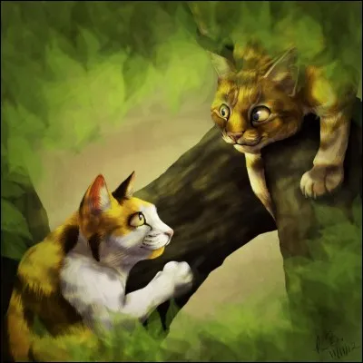 Dans "La Guerre des clans" de Erin Hunter, qui est le personnage principal durant tout le premier cycle ?