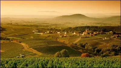 Quel est ce géant qui a laissé des traces en Bourgogne ?