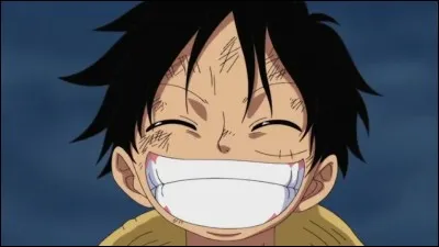 Quel est le surnom de Luffy ?