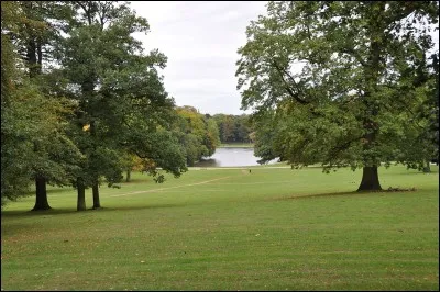 Si tu apprends que tu es au milieu des bois en colonie de vacances, que fais-tu ?