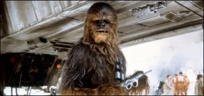 Comment a-t-il connu Chewbacca ?