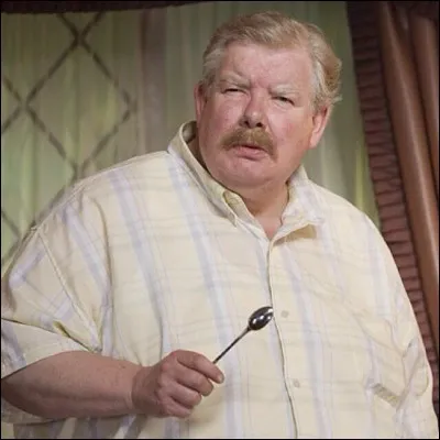 HP1 - Quel est le paquet long et fin que Vernon Dursley achète avant d'aller à la cabane ?