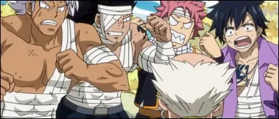 (Épisode 121)
Après la victoire de Fairy Tail sur Grimoire Heart, qu'en est-il de l'examen des mages de rang S ?