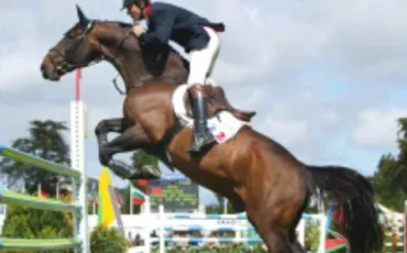 Quiz Equitation