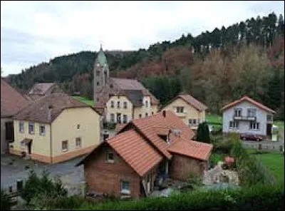 Village Bas-Rhinois, dans le parc naturel régional des Vosges du Nord, Eschbourg se situe dans l'ancienne région ...