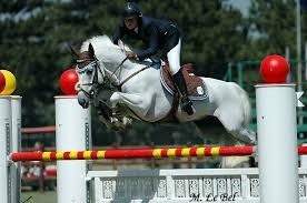 Quiz Equitation