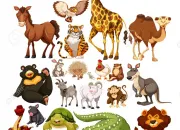 Quiz Les animaux