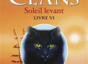 Quiz Le pouvoir des toiles : Soleil levant - LGDC