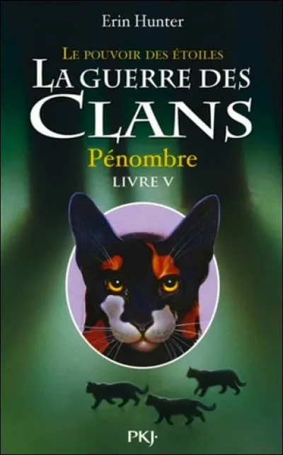 Quel chat est représenté sur la première de couverture ?