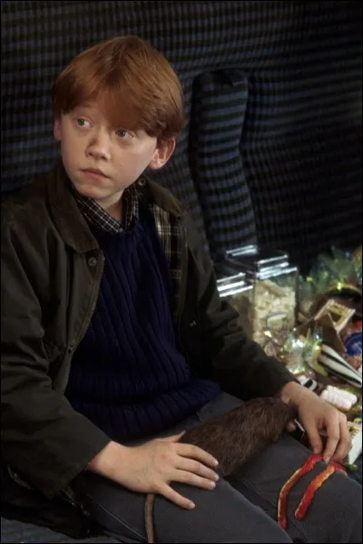 Comment s'appelle le rat de Ron Weasley ?