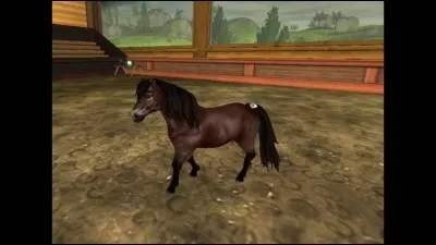 Quelle est cette race de poney ?