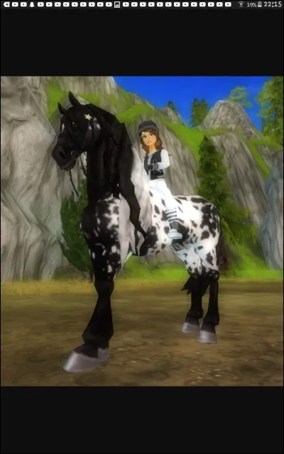 Combien de types de race frison existe-t-il dans le jeu "Star Stable" ?