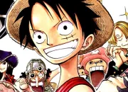 Test Le test ultime de... ONE PIECE !