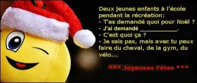 Complétez la blagounette : 
~~~~~~~~~~~~~~~~~~~~~~ 

Deux jeunes enfants discutent à l'école pendant la récréation : 

- T'as demandé quoi pour Noël toi ?

- J'ai demandé ___________.

- C'est quoi ça ?

- Je sais pas, mais tu peux faire du cheval, de la gym, du vélo...