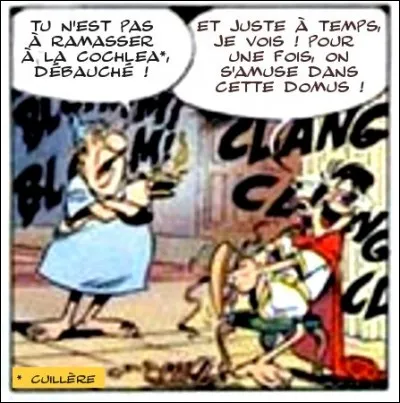 Petit préambule avant les réjouissances... On entend souvent parler de « latin de cuisine », mais d'où vient cette expression ?