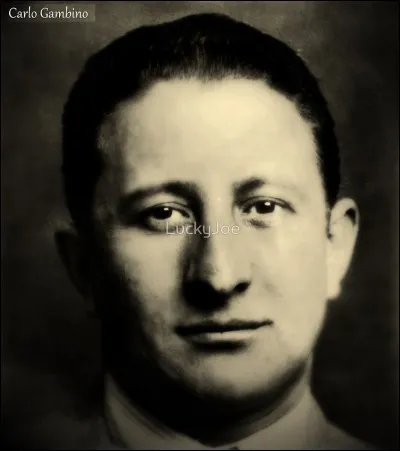 Qui était Carlo Gambino ?