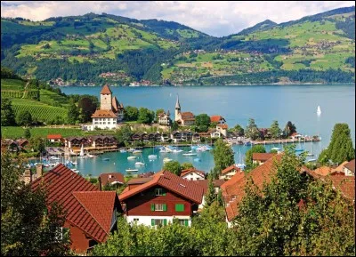 Thoune est une ville située près du lac de Thoune. Cochez le pays où elle se situe !