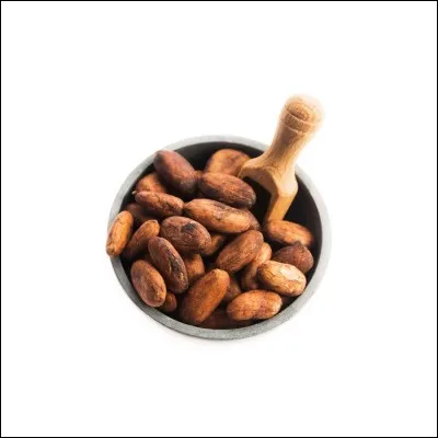 De quand daterait la première utilisation de la fève de cacao ?