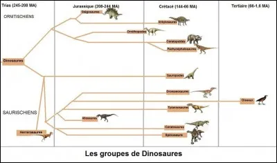 "Dinosaure" est un/une :