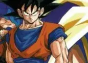 Test Quel personnage de ''Dragon Ball'' es-tu ?