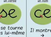 Quiz Le bon mot - 34 - se/ce, ses/ces