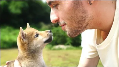 Quel type de vidéo fait Squeezie ?