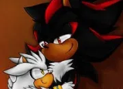 Quiz Connais-tu Shadow de Sonic ?