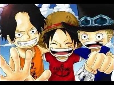 Quel est le village dans lequel Monkey D. Luffy a passé son enfance?