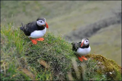 Laquelle des villes suivantes est la capitale de l'Islande ?